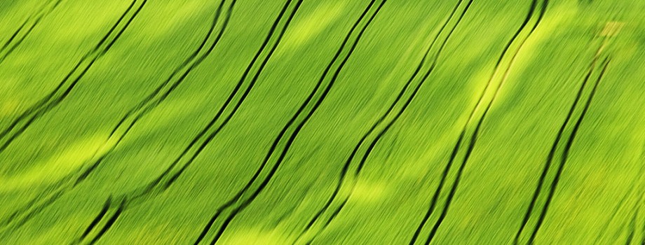 Stripes in green