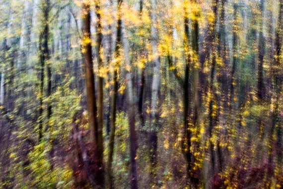 Autumnal magic
